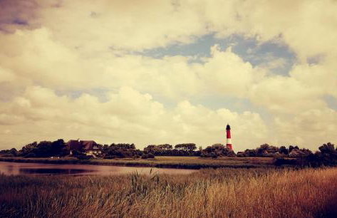 Tammwarftshof - Foto 45