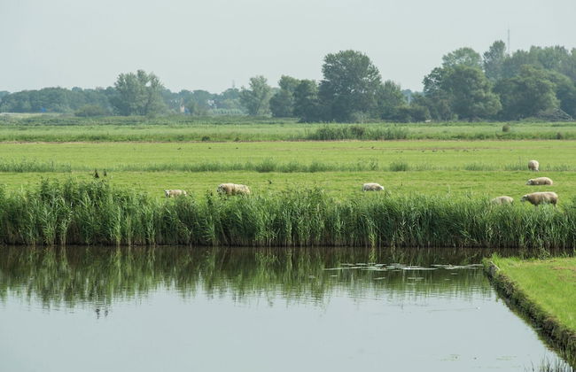 Comfortable Chalet Located in the Polder, Near Alkmaar - Foto 37