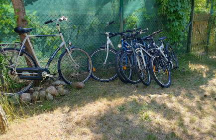 domki nad jeziorem, las, do 10 osób jezioro Wilczyńskie Budzisławskie - domek letniskowy osobno ogrodzony, ogrzewany mile widziane pieski, zwierzeta- wielkopolska, 62-550 Zygmuntowo gm Wilczyn - Photo 22