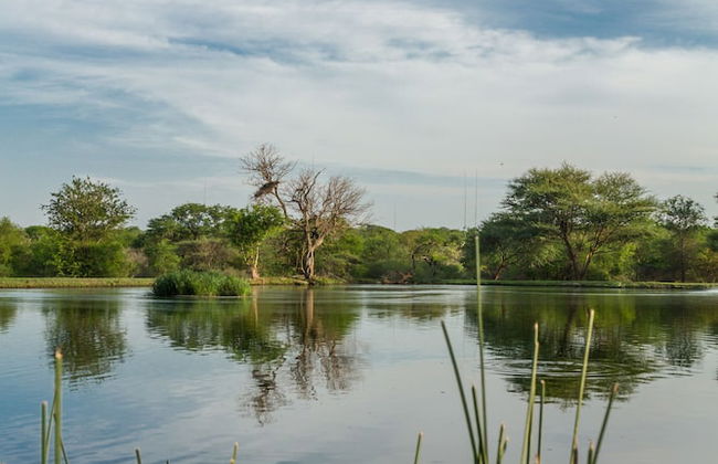 The Dreamcatcher Lodge - Photo 31