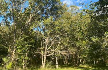 Pecan Grove Cabin - Foto 20