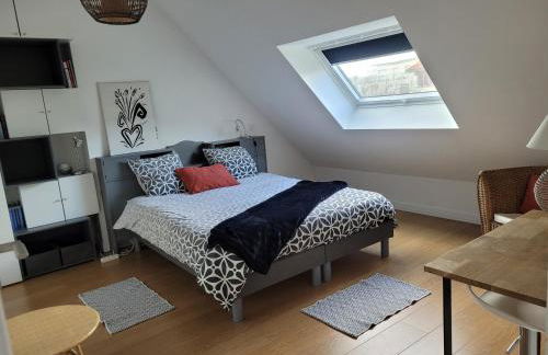 Les Sternes - centre ville- garage - Photo 6