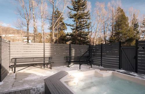 Riverfront Patio - Hot Tub - Luxe Silverthorne - Foto 38