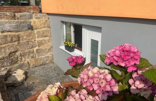 Carpe Diem - Foto 24