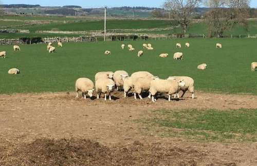 The Byre @ Cow Close - Stay, Rest and Play in the Dales. - Photo 10
