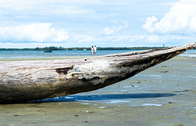 Santo Amaro Island Day Trip - Foto 1