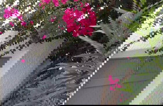 Charming 1705 Castle House in Pirgos Kallistis, Greece - Photo 36