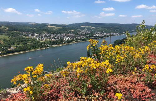 Ferienwohnung Moselflair mit direktem Blick auf die Mosel und Weinberge - Foto 24
