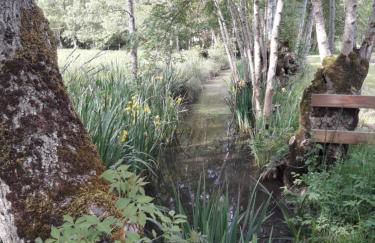 Logis de LANGE studio 2 p - Foto 49