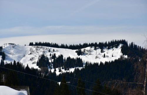 Chalet Orlando - Foto 16