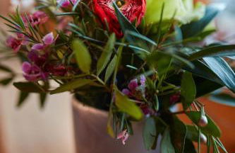 Ferienwohnungen Fausts Blockhaus - Photo 6