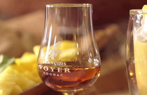 Le Mas, Maison de maître, Cognac - Foto 27