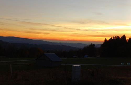 Bayerwaldtiny - Foto 17