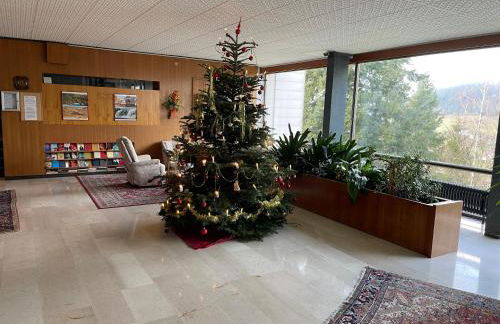 Studio Tonbachblick Baiersbronn - Photo 50