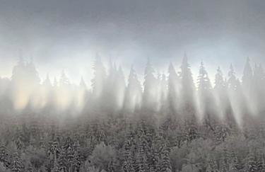 Oczko Na Giewont - Foto 63