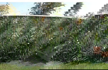 Exclusive EcoHouse Privacy 100m Campeche - Foto 15