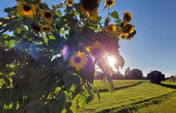 HERZstück Erzgebirge - Foto 23