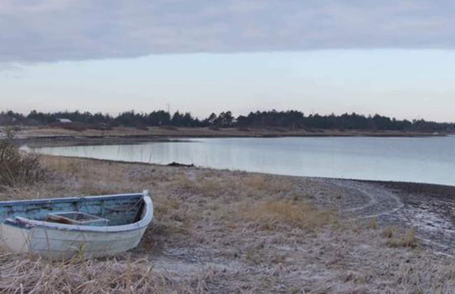 16 Person Holiday Home in Thyholm - Foto 37