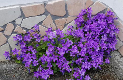 Ferienwohnungen wie im Süden Großostheim - Foto 11