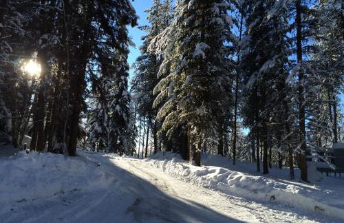 The Ridge At Glacier - Luxury Cabins - Photo 15