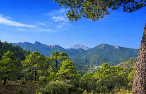 Casa Rural Doña Carmen - Foto 36