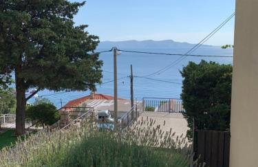 Apartment Ivanka - Foto 25