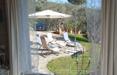 Oliveto Tuscany - Foto 23