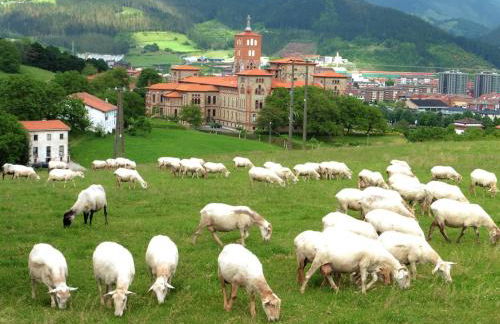 Txanpardin - Foto 69