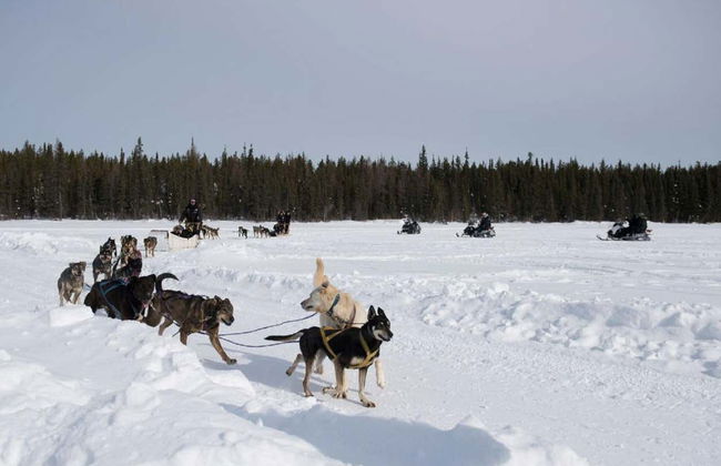Paseo en trineo de perros husky - Foto 5