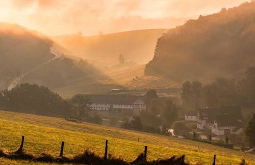 Ferienhof Schade - Foto 20