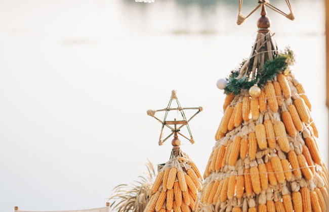 1000 Stars - Foto 31