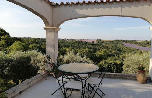 Gîtes Lou Limbert Plateau de Valensole - Foto 15