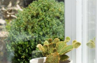 Sands Studio and Samphire Studio - Foto 11