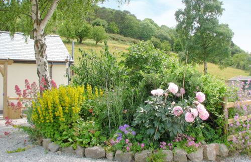 Beehive Cottage - Photo 21