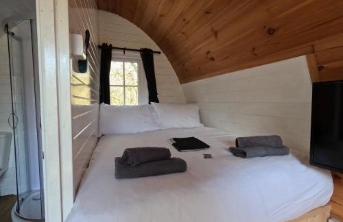 Ash Cabin with Hot Tub - Foto 8