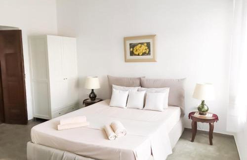 Thomas Traditional House in Chora - Photo 30