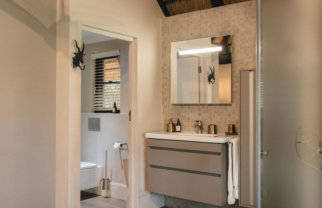 Buccara Waterberg - Molapo - Photo 52