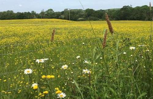 Simpers Drift, Great Glemham - Foto 42