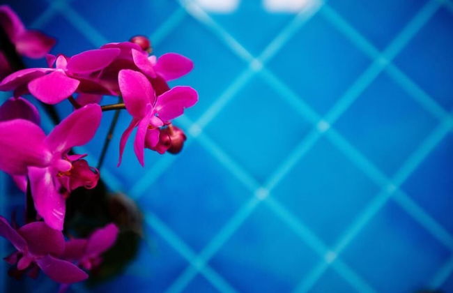 Relais Il Pennino - Foto 34