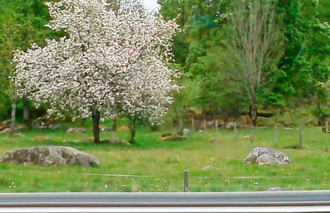 Holiday Home in Ryssby - Foto 23