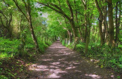 Ysgubor Twt, Monknash - Photo 18