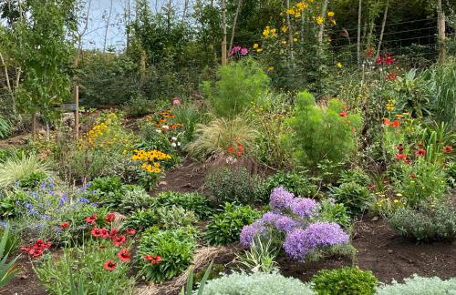 Merrivale Barn - Foto 24