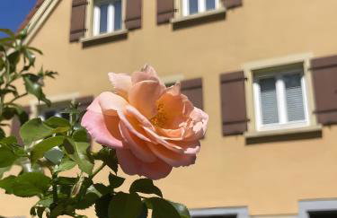 Alte Schmiede Ellrichshausen 2 - Foto 1