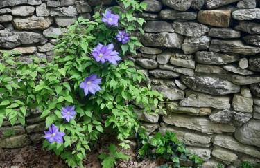 Cherokee mountain log cabin resort - Foto 28