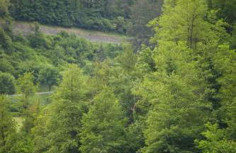 Agriturismo Carovane - Photo 31