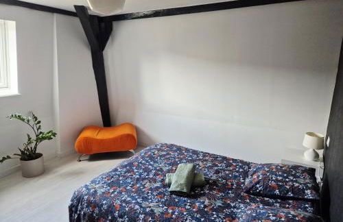 Le toit des Vosges demeure Historique Appartement neuf et climatisé - Foto 6