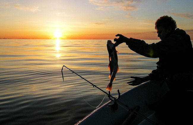 8 Person Holiday Home in Stonglandseidet - Foto 19