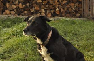 Un Air de Die - Foto 9