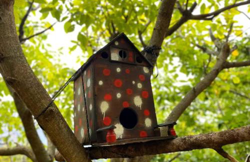 Pinecone Lodge, Eptalofos Wellness Garden Chalet - Foto 41