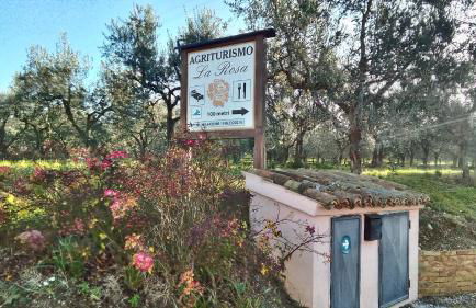 Agriturismo La Rosa Montefalco - Foto 3